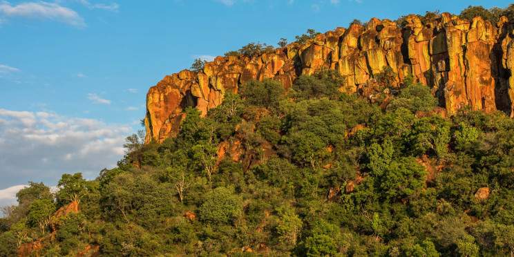 7-Day Namibia Plateau-Waterberg, Etosha & Okonjima Tour