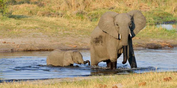 9-Day Northern Namibia Rivers, Wildlife & Waterfalls