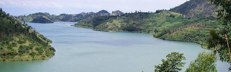 6-Day Middle Range Chimps & Nyungwe National Forest