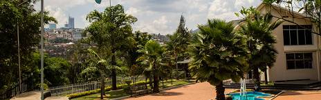 16-Day Tanzania Safari and Rwanda Gorilla Adventure