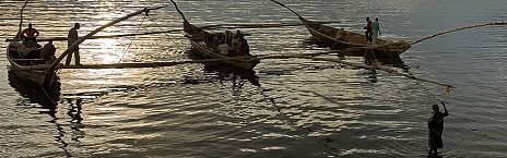 3-Day Gorilla Trekking and Mountain Biking at Lake Kivu