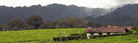 3-Day Combined Nyungwe and Akagera National Park