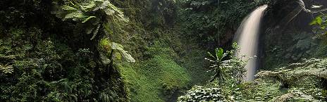6-Day Chimpanzee and Golden Monkey Trekking