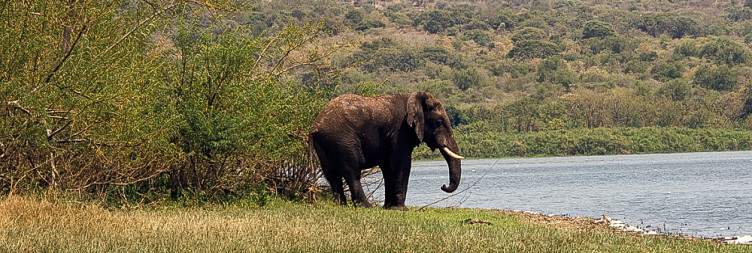 Kigali - Akagera National Park