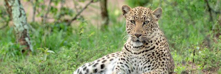 Game Drive in Akagera National Park