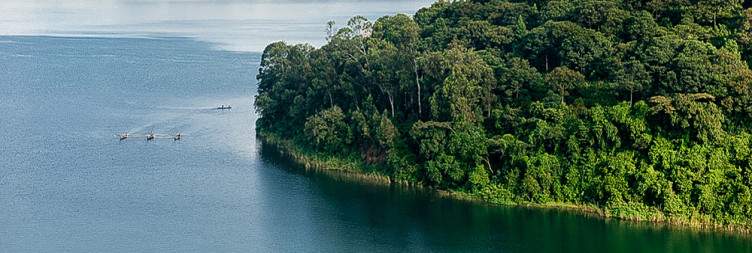 Nyungwe to Lake Kivu