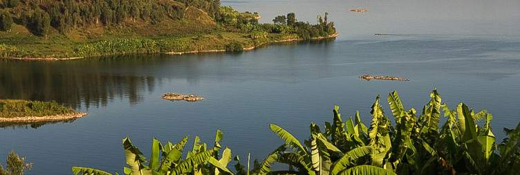 Tea Plantation Experiences and Transfer to Lake Kivu