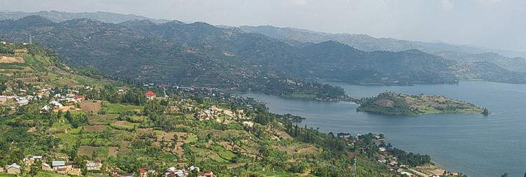 Golden Monkey Trekking and Transfer to Lake Kivu