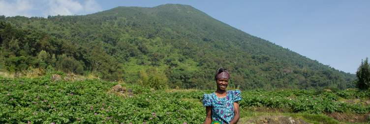 Mount Bisoke Hiking