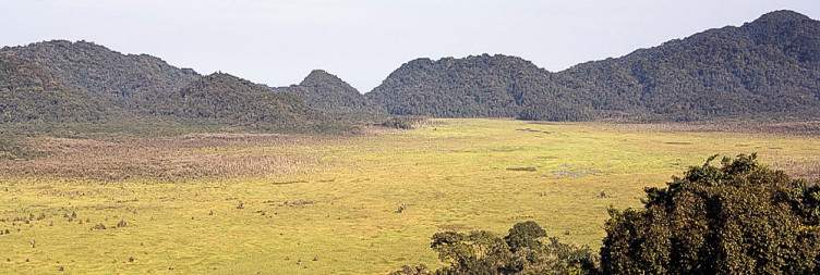 Butare – Nyungwe
