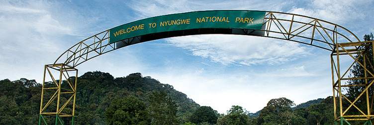 Colobus Monkey Trekking and Museum Tour