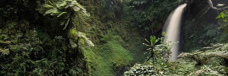 Kigali to Nyungwe National Park