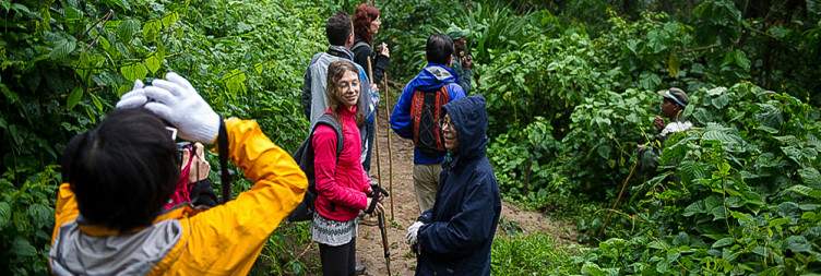 Hiking, Trekking, Colobus Trails of Nyungwe and Canopy walk