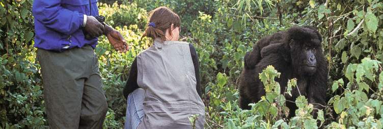 Volcano National Park for Golden Monkey Tracking