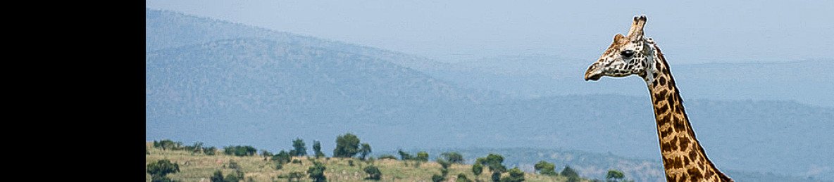6-Day Rwanda Akagera Safari and Cultural Experiences