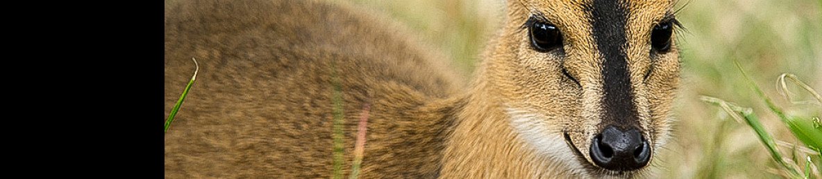 2-Day Akagera Rwanda Wildilfe Safari& Sunset Boat Cruise