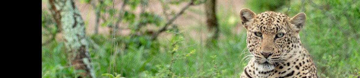 2-Day Akagera Luxury Safari in Rwanda & Boat Cruise