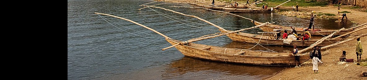 4-Day Nyungwe National Park Safari and Lake Kivu