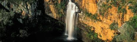 3-Day Tremisana/Treehouse Kruger Park Safari