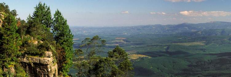 Morning Bush Walk and Blyde River Canyon