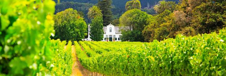 Cape Town to Franschhoek