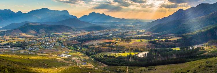 Transfer to the Winelands