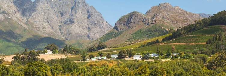 At leisure in the Winelands