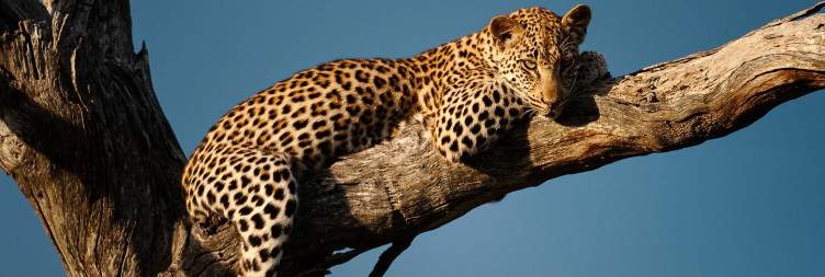 Kruger National Park (Skukuza Rest Camp)
