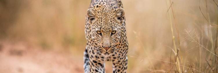 Kruger National Park (Skukuza Rest Camp)