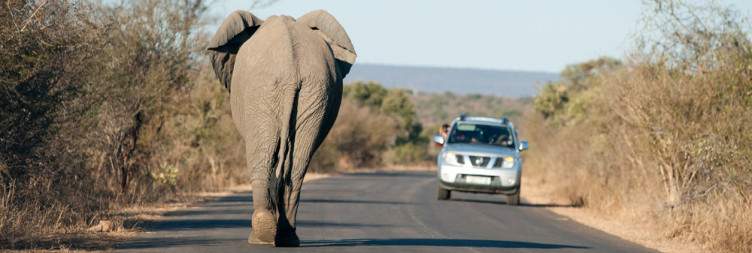 Transfer from Johannesburg then afternoon on Panorama Route