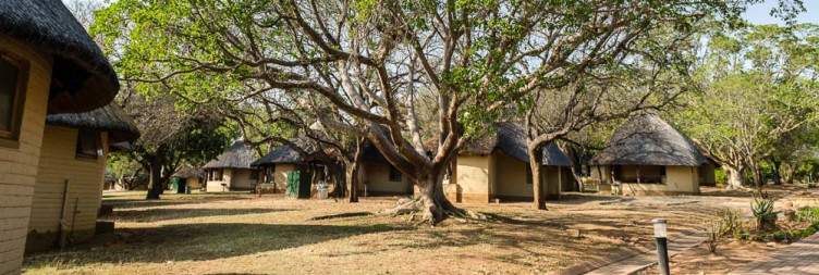 Johannesburg Transfer to Hazyview and Optional Activities