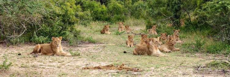 Private Game Reserve Experience