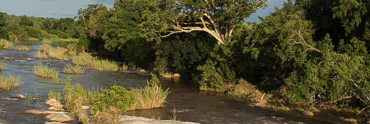 JHB Transfer to a Hazyview Guesthouse & Elephant Interaction Program