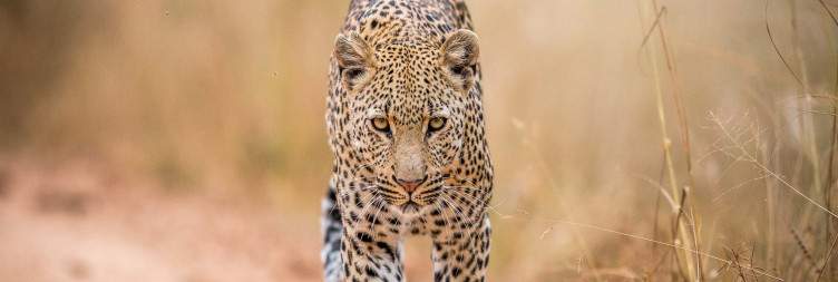 Kruger National Park - Skukuza
