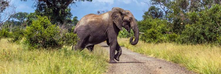 Kruger National Park - Berg-en-Dal
