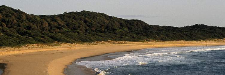 ISimangaliso Wetland Park and beach day