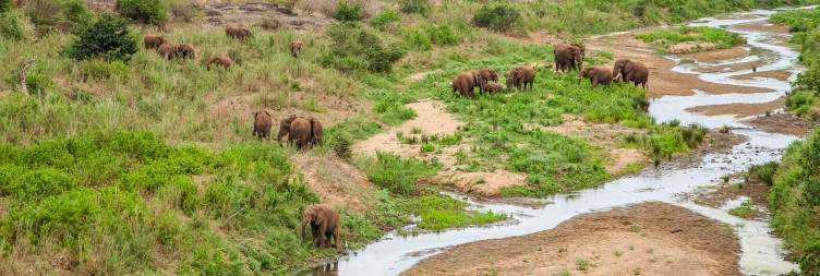 Isimangaliso Wetland Park and River Cruise