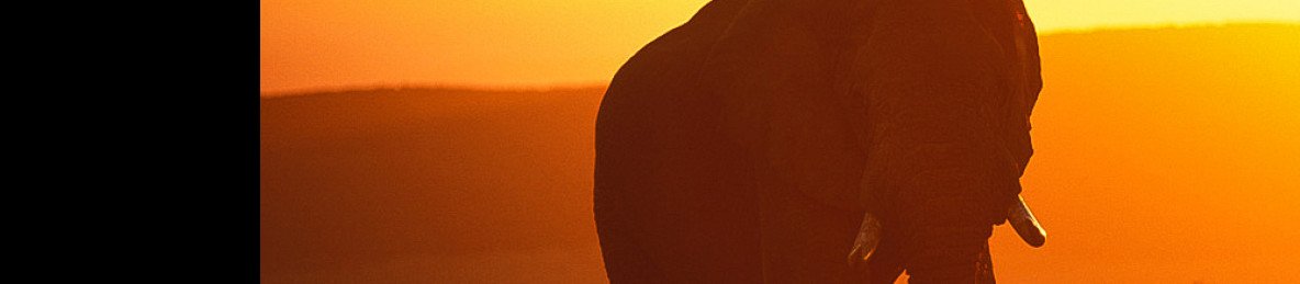 7-Day Private Kruger Camping Safari