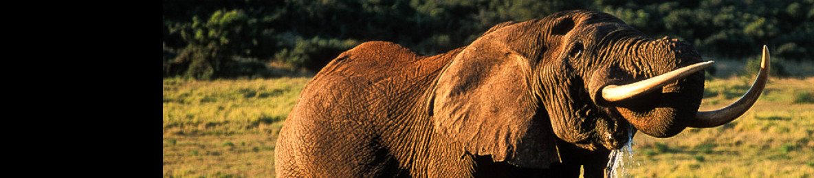 6-Day Private Kruger Camping Safari