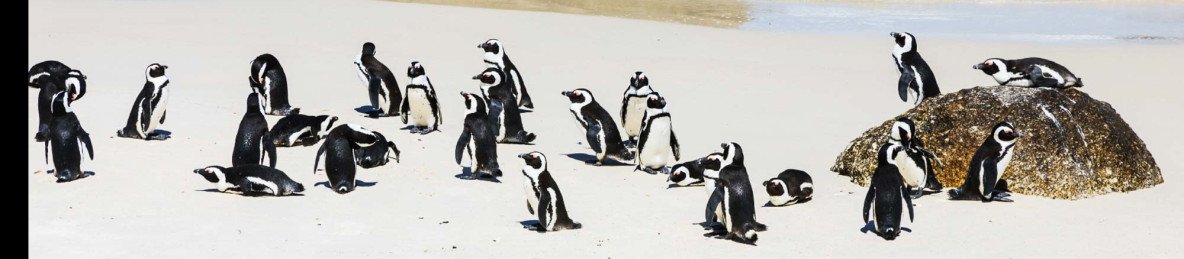 8-Day Cape Town, Winelands & Hermanus