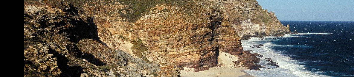 1-Day Cape Point and Peninsula Tour
