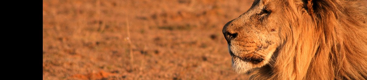 7-Day South Luangwa and Lower Zambezi Epic Safari