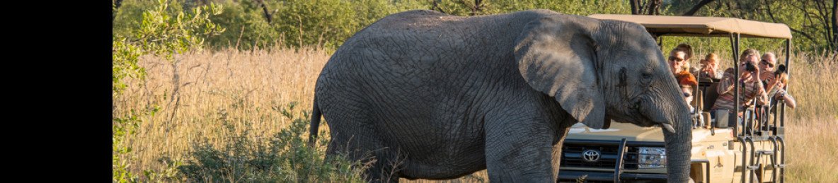 8-Day Bush & Beach Safari in Timbavati and Mozambique