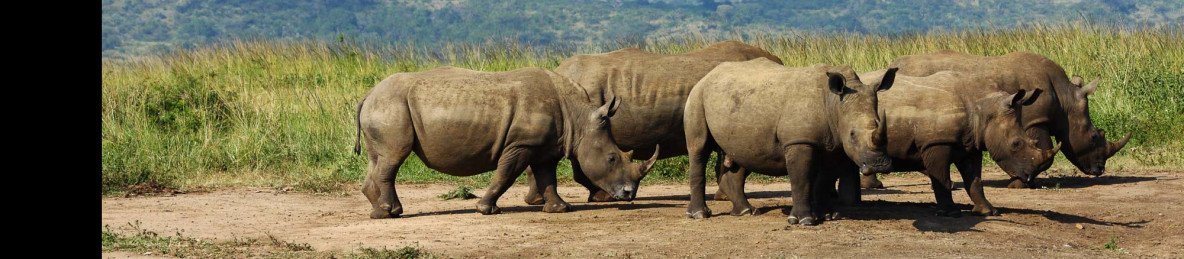 8-Day Private Kruger Safari