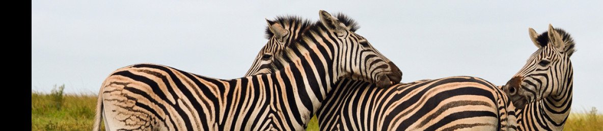 9-Day Private Kruger Safari