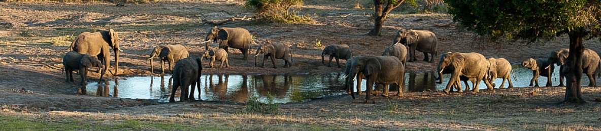 5-Day Essential Kruger Safari - Fully Inclusive