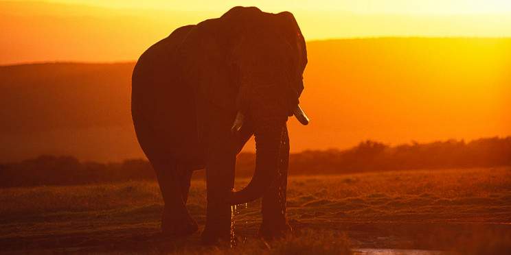 7-Day Private Kruger Camping Safari