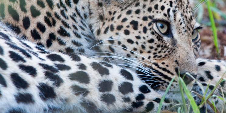 5-Day Private Northern Kruger Camping Adventure