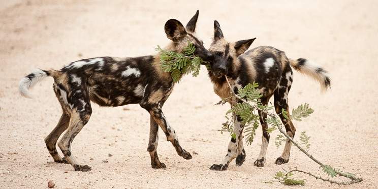 7-Day Kruger and Cape Town