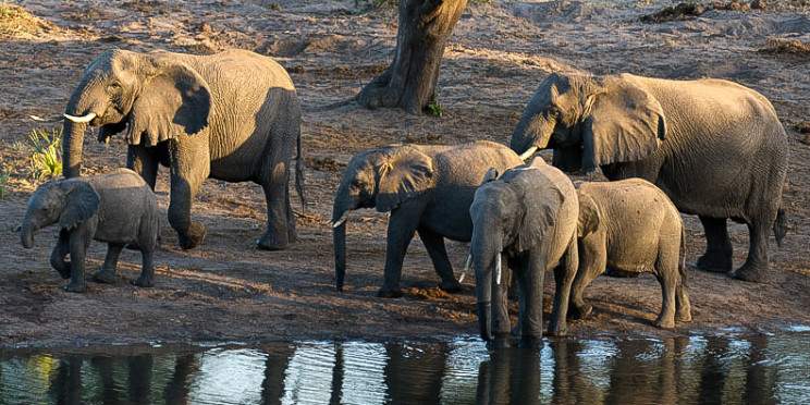 5-Day Safari to Kruger Park plus Panorama Route